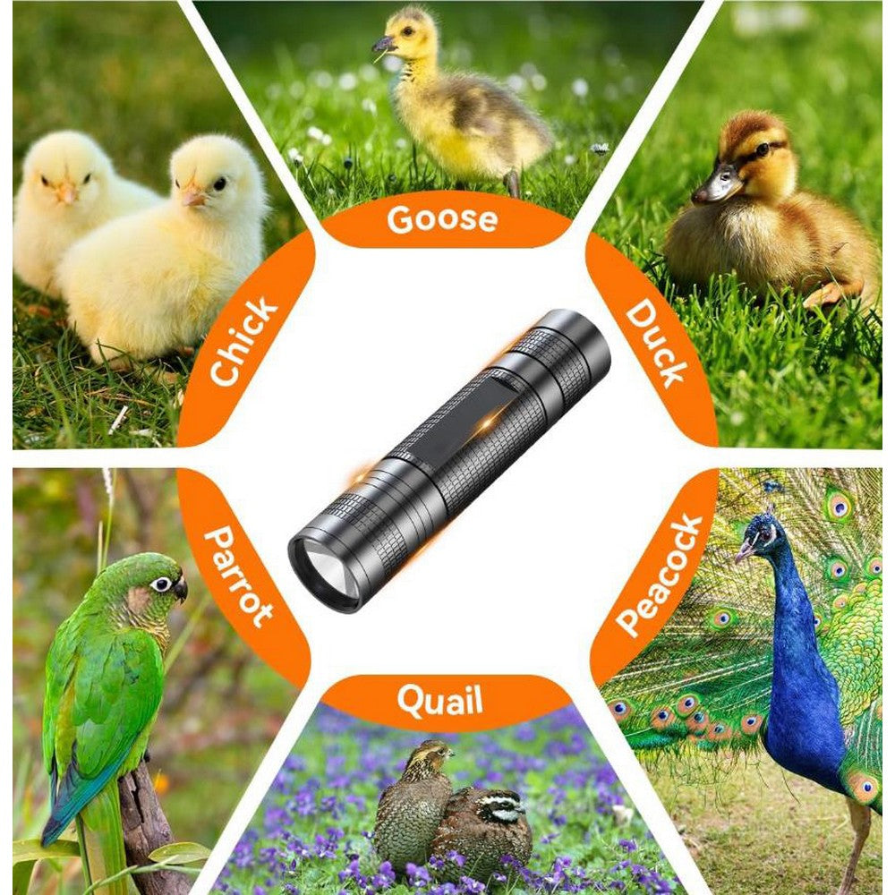 3 in 1 Egg Candler Light for Chicken Ostrich Eggs
