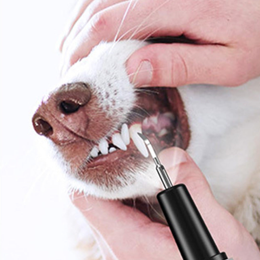 Ultrasonic Pet Plaque Remover ¨C Electric Teeth Cleaner for Dogs and Cats