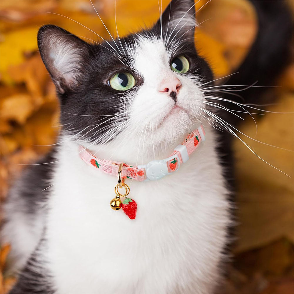 2 Piece Soft Cotton Adjustable Breakaway Cat Collars - Pink and White