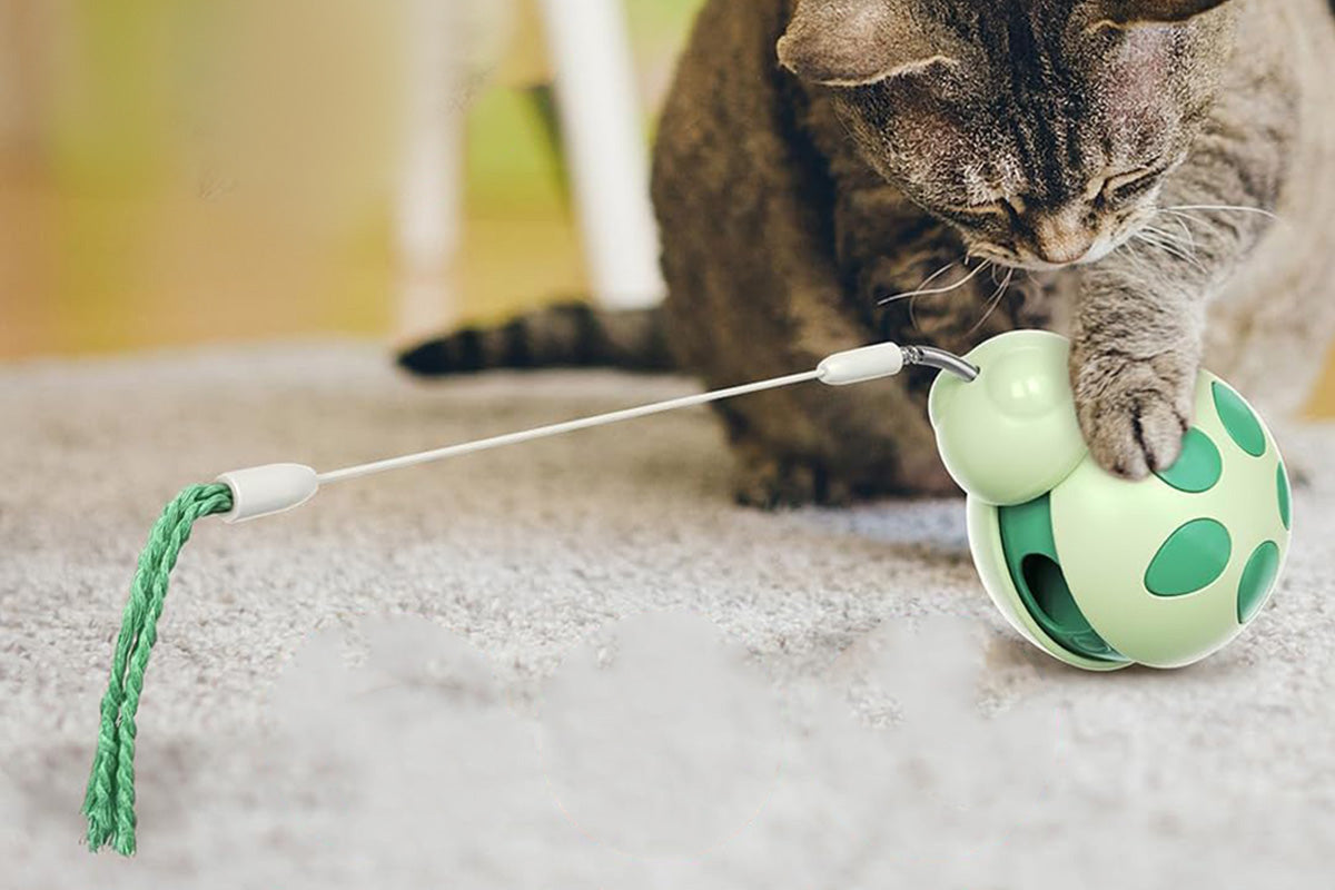 Interactive Cat Toys Tumbler Ladybug with Teaser Wand Cat Treat Dispenser Toy -Green