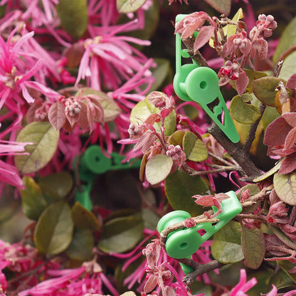 20PCS Adjustable Plant Bender Clip 360 Degrees Low Plant Training Garden Holders Green