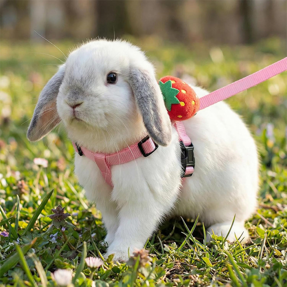 4Pcs Adjustable Rabbit Leash and Harness Set with Vest Style for Small Pets