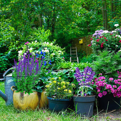 Plant Supports Stakes Set Half Round Metal Garden Stakes for Outdoor Indoor Plants