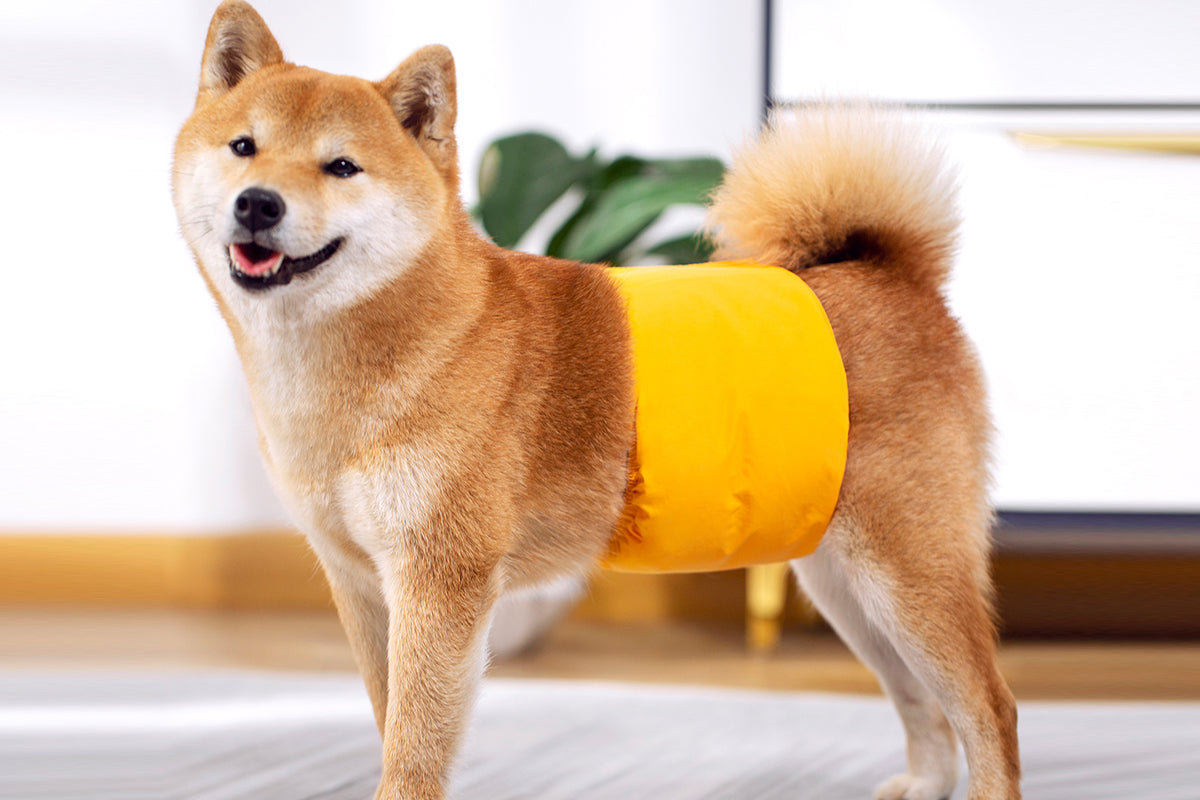 Male Dog Puppy Nappy Diaper Belly Wrap Band Sanitary Pants Underpants
