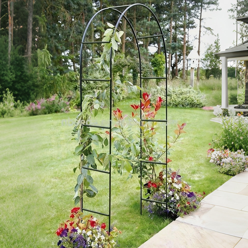 Powder Coated Steel Garden Arch Support for Climbing Vines
