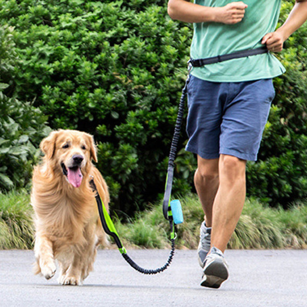 Dog Poop Bag Dispenser Pet Waste Bag Holder for Puppy Walking Cleanup Blue
