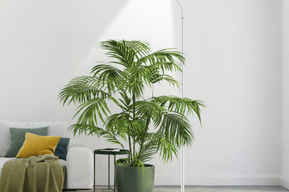 Floor Plant Grow Light Full Spectrum Tripod Stand - White