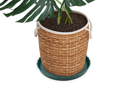12Pcs Round Plastic Plant Saucers Durable Flower Pot Tray for Indoor Outdoor