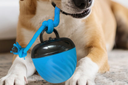 Squeaky Dog Toy Active Rolling Ball Interactive Dog Toys Motion Activated-Blue