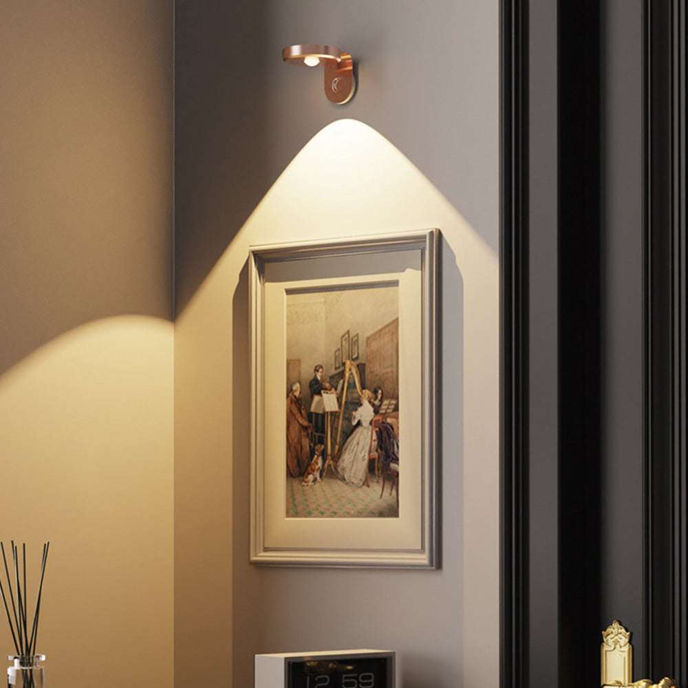 Rotating Picture Light with 3 Light Modes