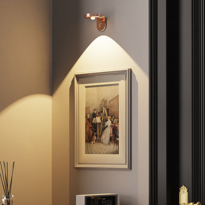Rotating Picture Light with 3 Light Modes
