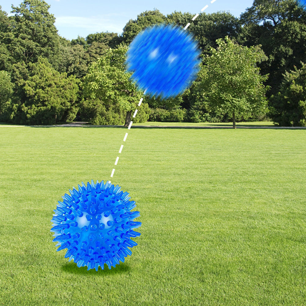 6Pcs Squeaky Dog Toy Balls Floating Dogs Pool Balls Interactive Fetch Toys for Puppy