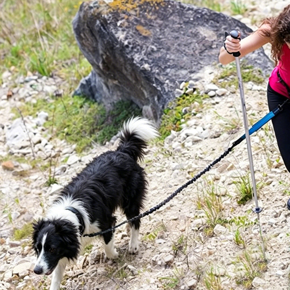 2 in 1 Hands Free Running Dog Leash for Walking Jogging-Blue