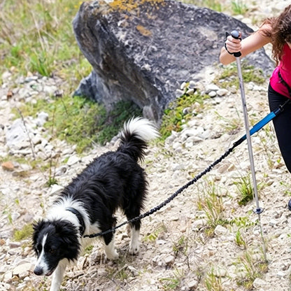 2 in 1 Hands Free Running Dog Leash for Walking Jogging-Blue