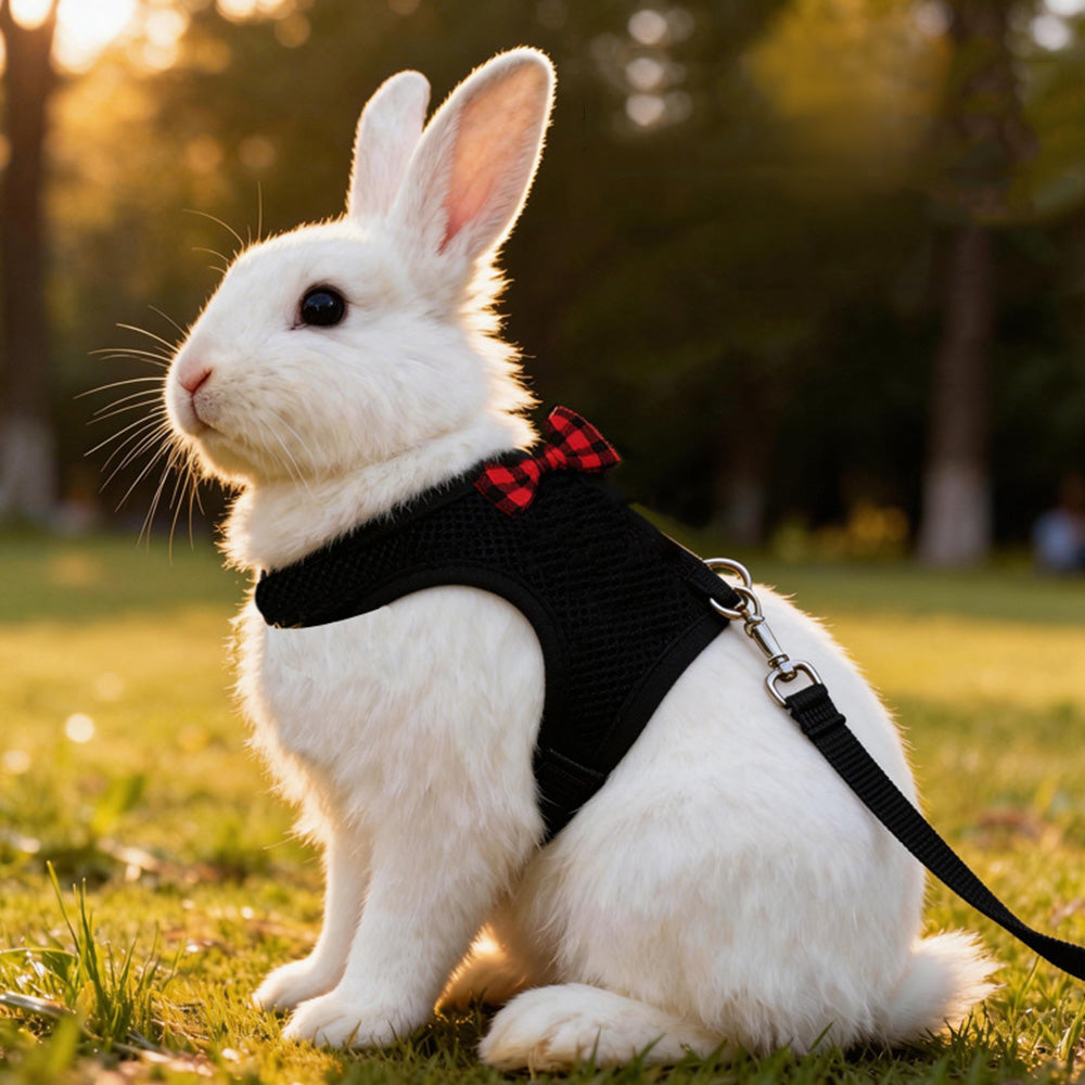 Rabbit Harness and Leash Set for Bunny-Black
