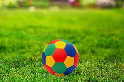 Soft Foam Quiet Indoor Soccer Training Ball