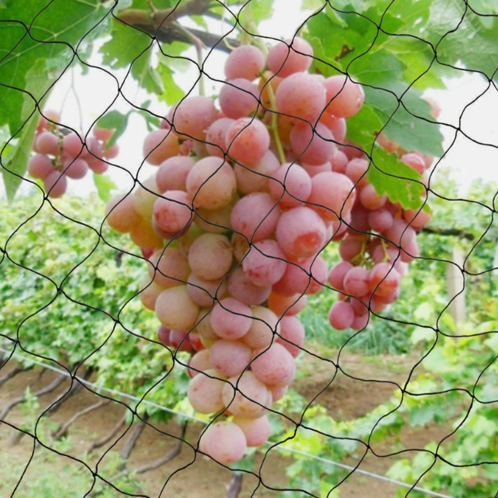 Nylon Bird Netting for Garden Fruit Tree and Crop Protection