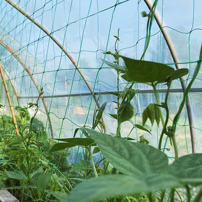 Garden Plant Climbing Net Vegetable Flower Vine Trellis Support Fence
