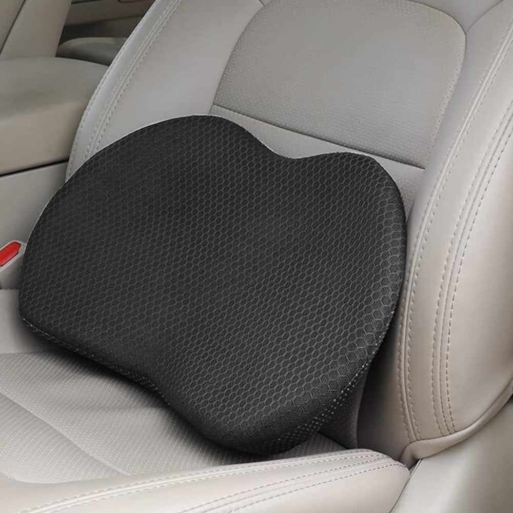 2-in-1 Booster or Lumbar Support