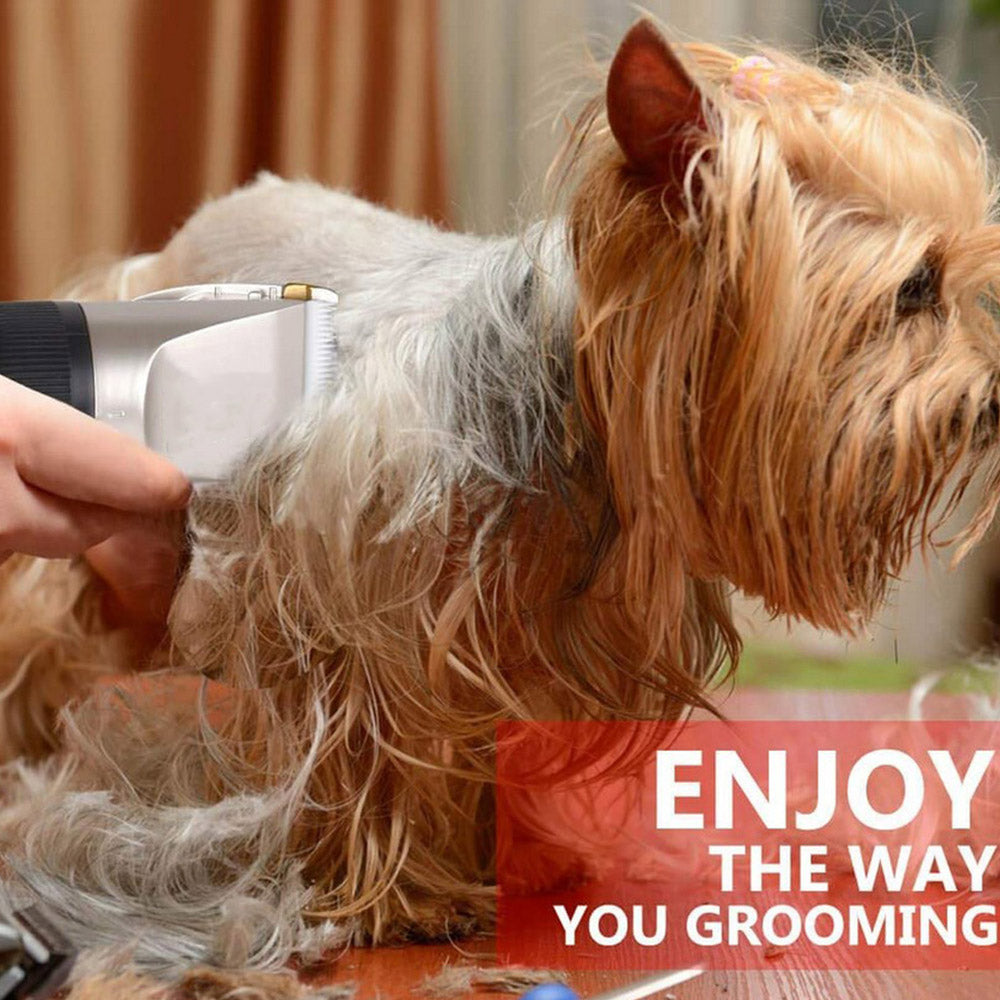 USB Cordless Electric Dog Clipper Set