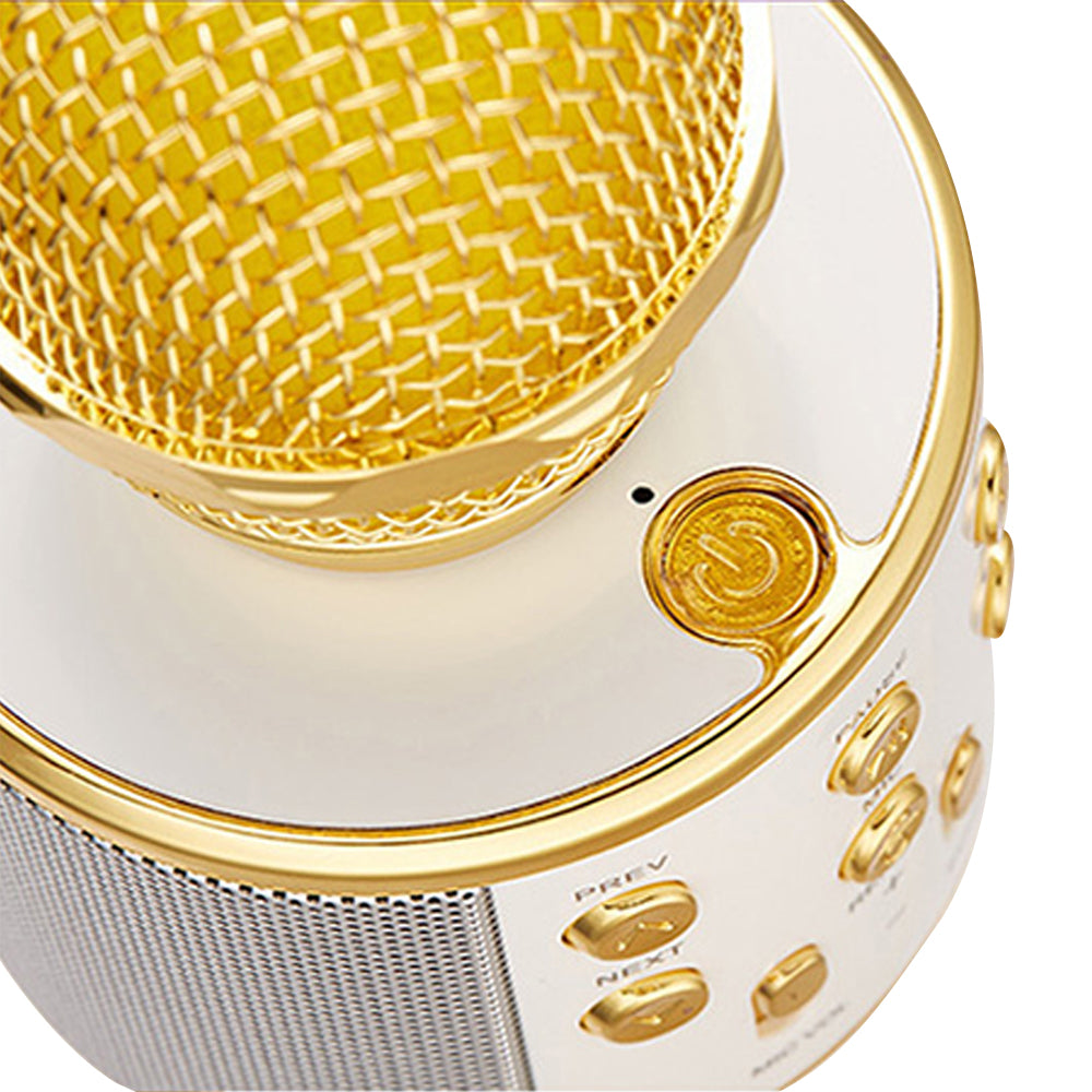 Karaoke Microphone for Kids Portable Wireless Bluetooth Singing Microphone with LED Lights -Gold