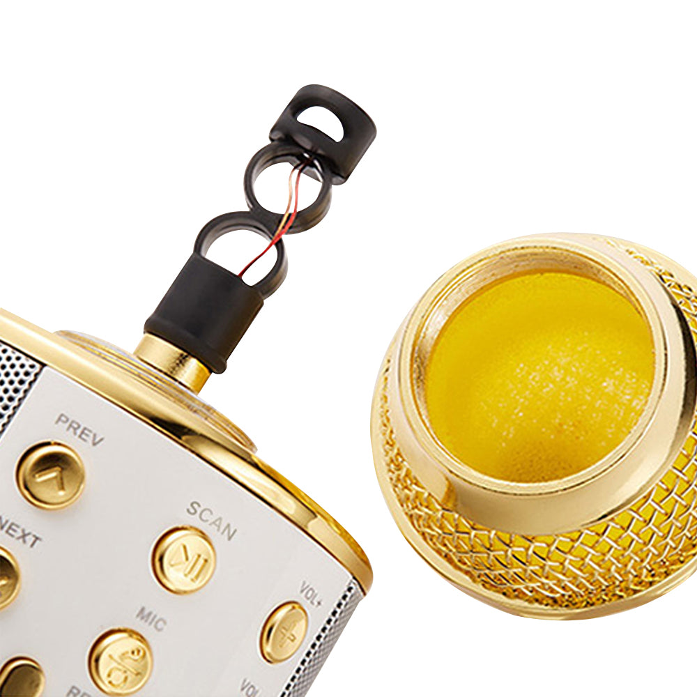 Karaoke Microphone for Kids Portable Wireless Bluetooth Singing Microphone with LED Lights -Gold