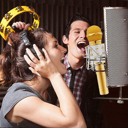 Karaoke Microphone for Kids Portable Wireless Bluetooth Singing Microphone with LED Lights -Gold