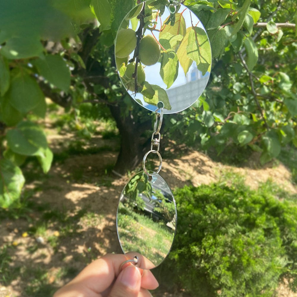 4 Set of Reflective Bird Repellent Discs Double-Sided Bird Scare Discs for Farmland Garden Home Window