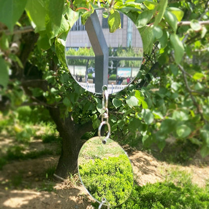 4 Set of Reflective Bird Repellent Discs Double-Sided Bird Scare Discs for Farmland Garden Home Window