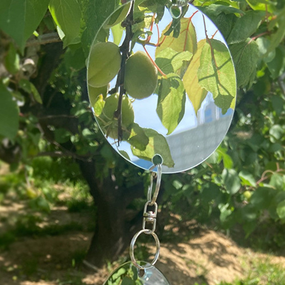 4 Set of Reflective Bird Repellent Discs Double-Sided Bird Scare Discs for Farmland Garden Home Window