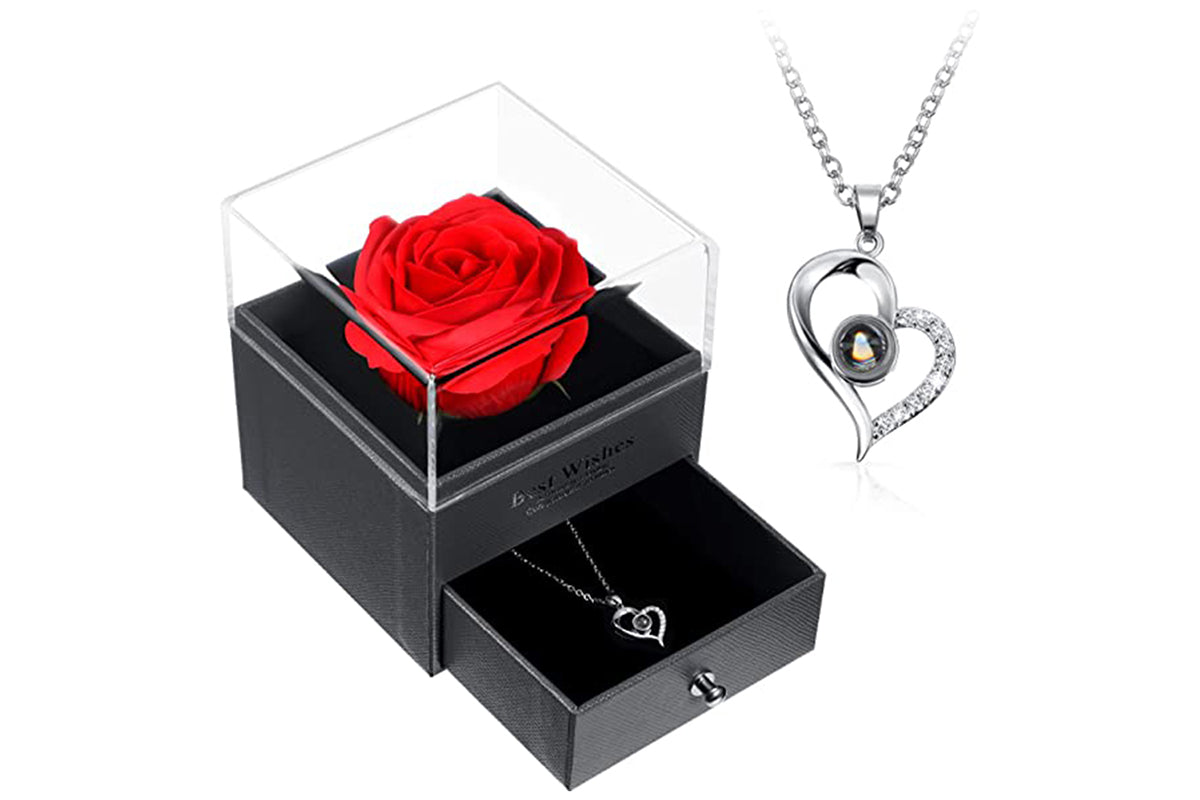I Love You Necklace and Storage Box Set Heart Pendant Necklace with 100 Languages Projection for Valentine Day-Silver