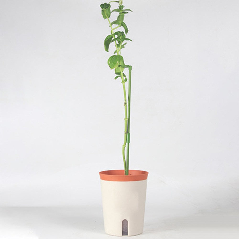 6Pcs Plant Stakes for Flowers Single Stem Plant Support