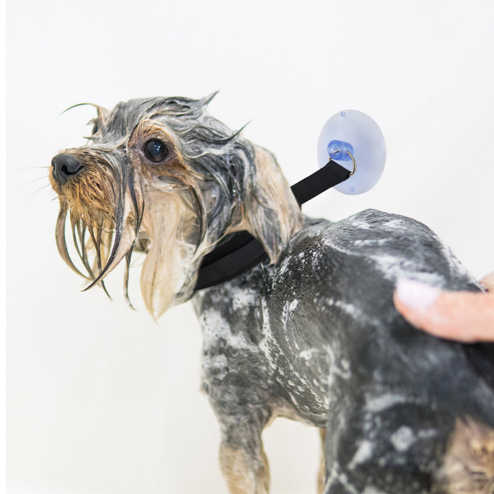 Pet Bath Tether with Suction Cup Dog Cat Bath Collar Pet Supply