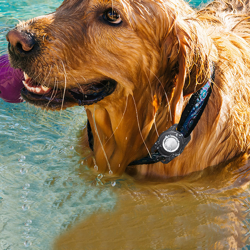 Protector Airtag Dog Collar Holder Water-resistant Airtag Case Compatible with Cat Dog Collar -Black