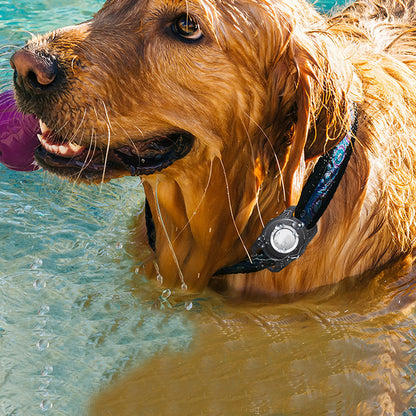 Protector Airtag Dog Collar Holder Water-resistant Airtag Case Compatible with Cat Dog Collar -Black