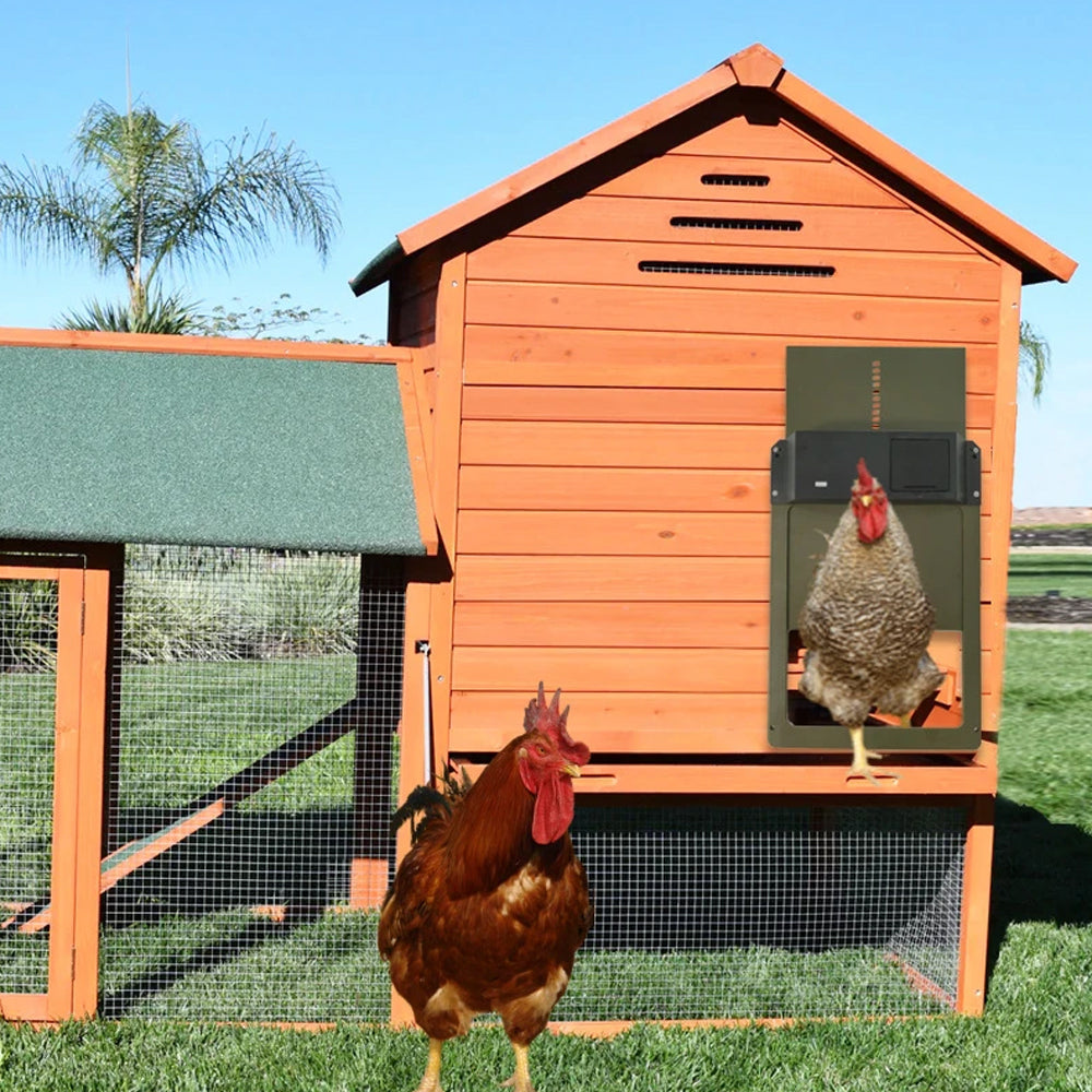 Automatic Chicken Coop Door Opener Light Sensing Chicken House Poultry Gate-Green