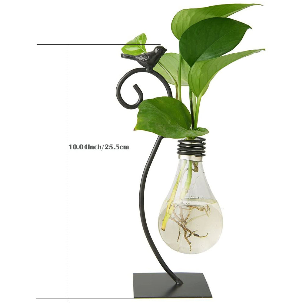 Desktop Glass Planter Hydroponics Vase