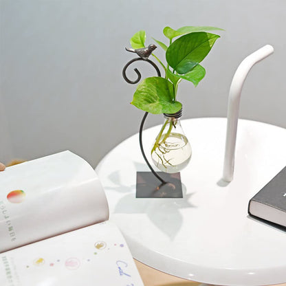 Desktop Glass Planter Hydroponics Vase