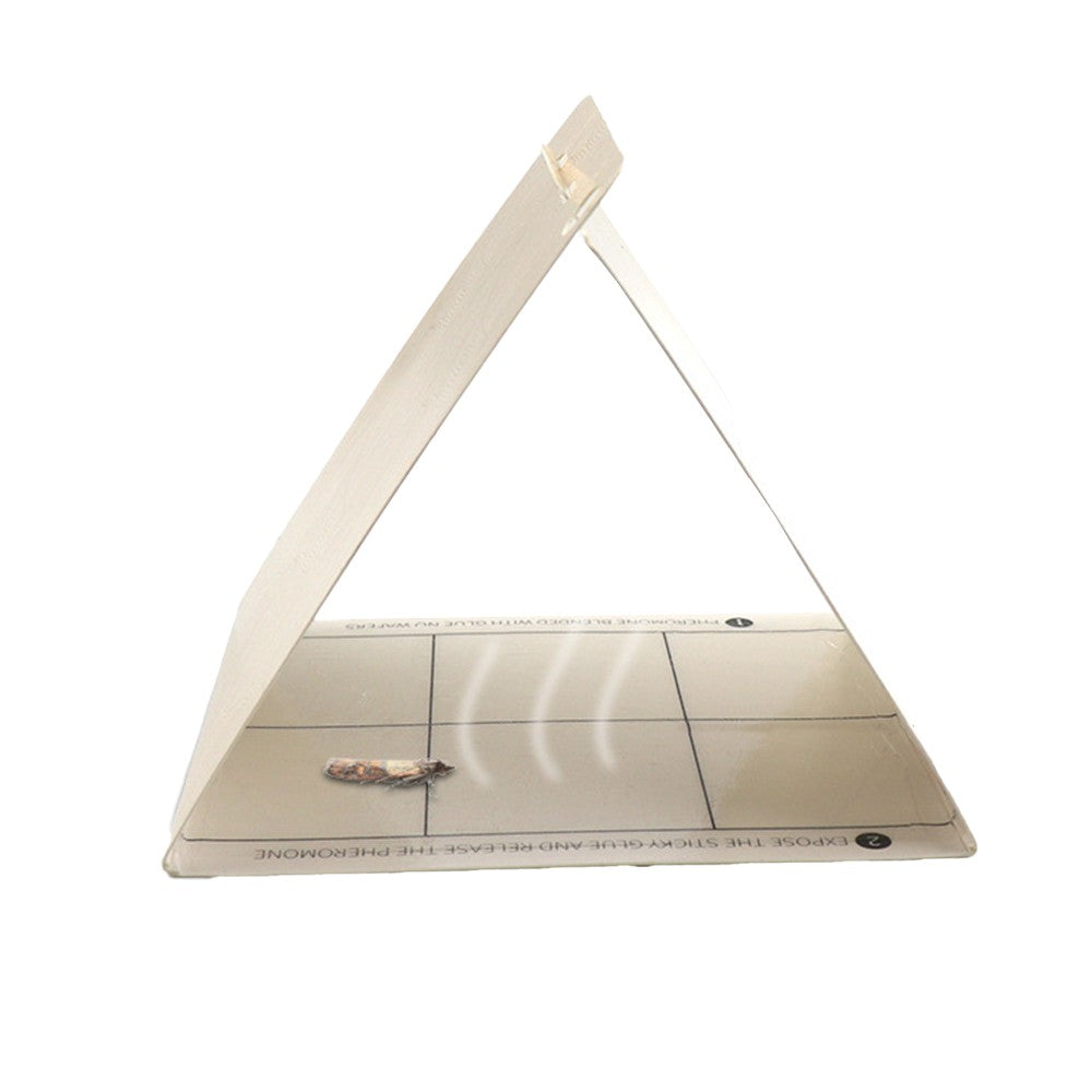 6Pcs Female Pheromone Pantry Moth Traps Pest Control