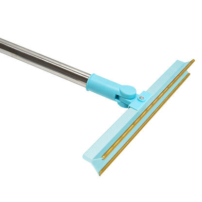 Retractable Long Handle Scraper Carpet Rake Pet Hair Removal Scraper Blue