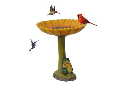 Bird Feeder Wild Bird-Baths for Outdoors Garden Decor-frog