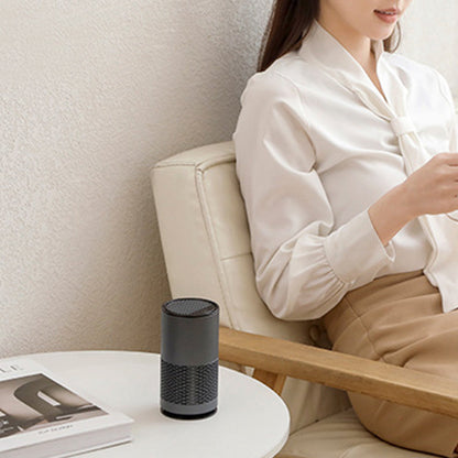 Portable Negative Ion Air Purifier Air Cleaner for Car Home Bedroom Grey