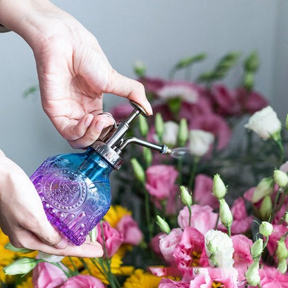 2Pcs 205ML Glass Plant Mister Spray Bottle for Indoor Outdoor House Plant  Grey and Purple