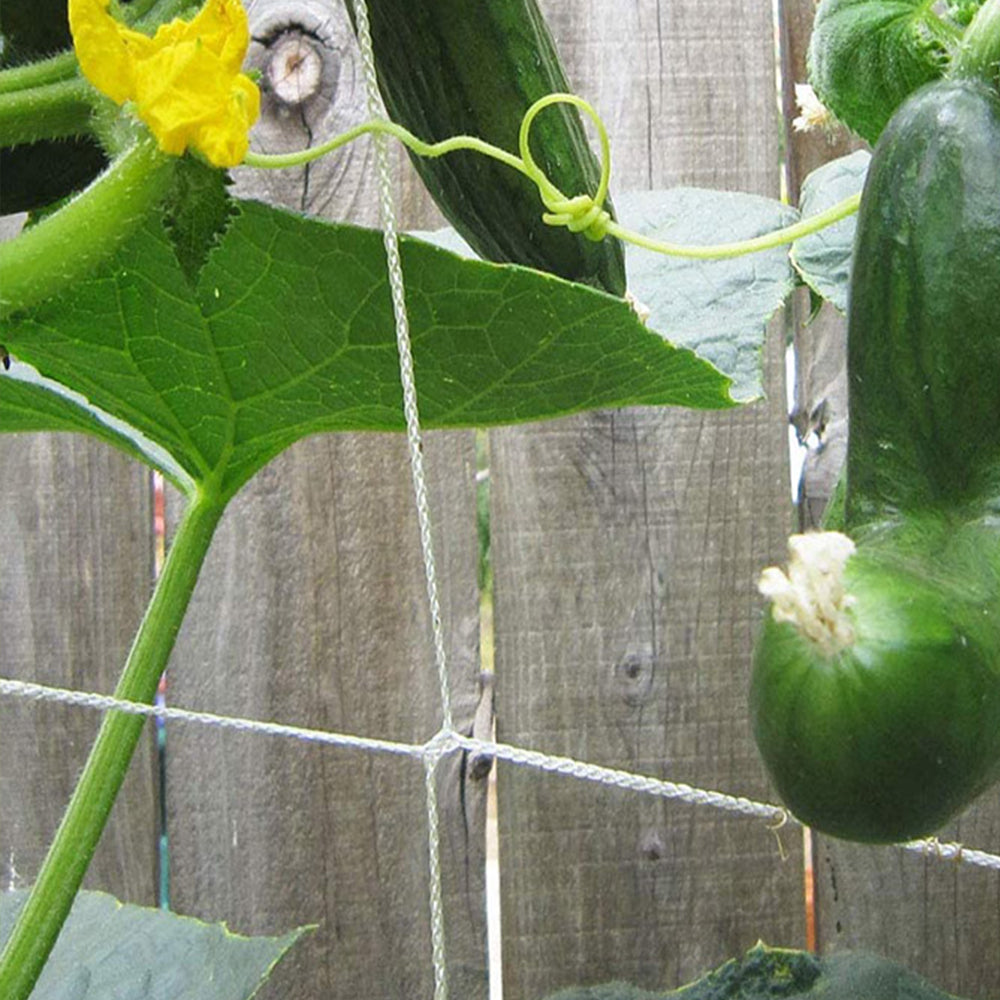 15/30 FT Vegetable Flower Vine Plant Climbing Net Garden Cucumber Trellis Netting