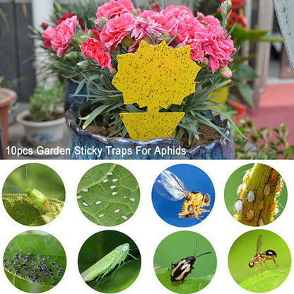 20 x Butterfly Shape and Flower Shape Sticky Trap Insect Killer with 4pcs Holder
