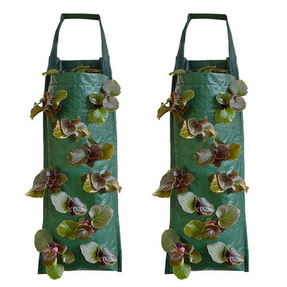 2Pack PE Hanging Grow Bag for Strawberry Planting