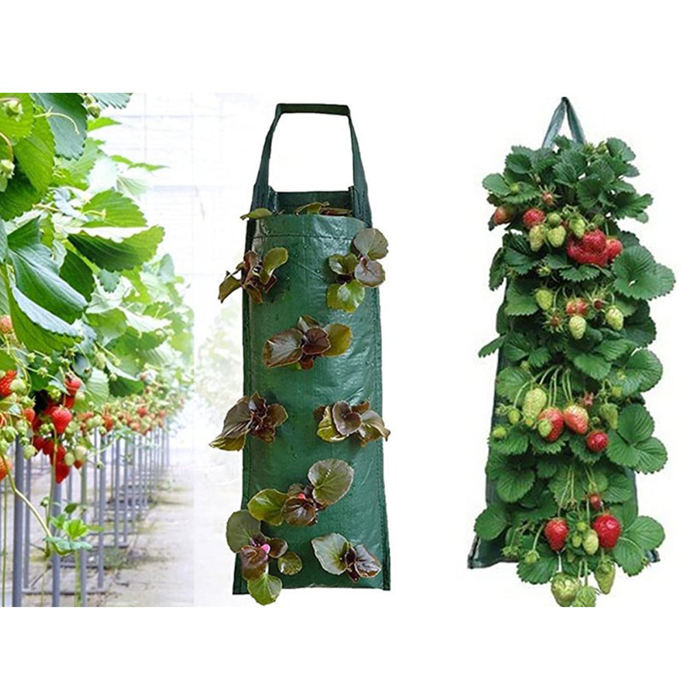 2Pack PE Hanging Grow Bag for Strawberry Planting