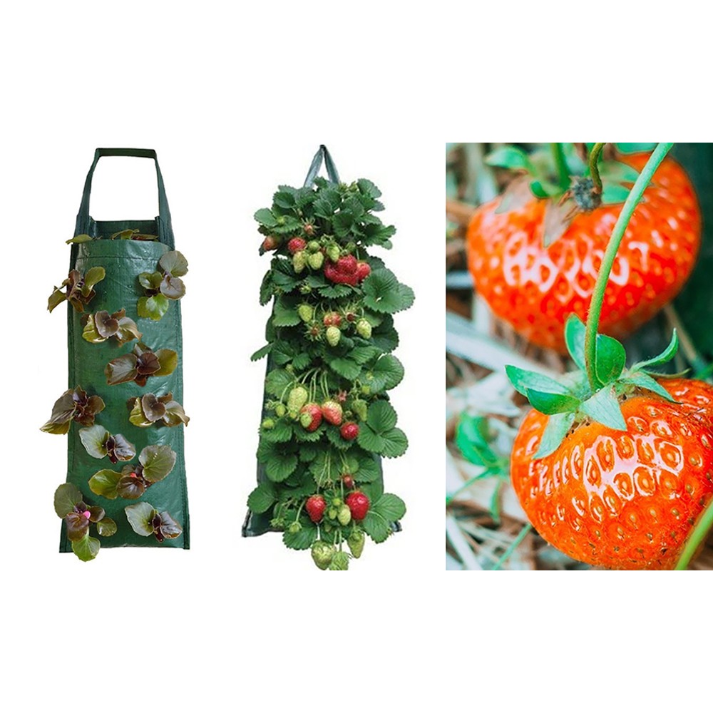 2Pack PE Hanging Grow Bag for Strawberry Planting