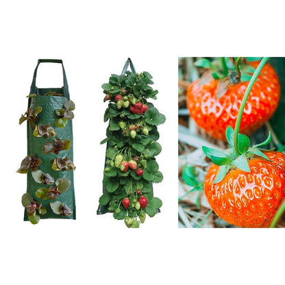 2Pack PE Hanging Grow Bag for Strawberry Planting