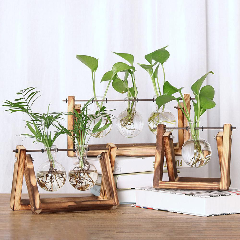 Indoor Plant Glass Pot Plant Terrarium with Wooden Stand Tabletop Glass Bulb Vase Home Garden Office Decoration